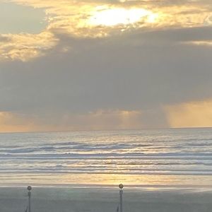 Meet your Posher, Audrey